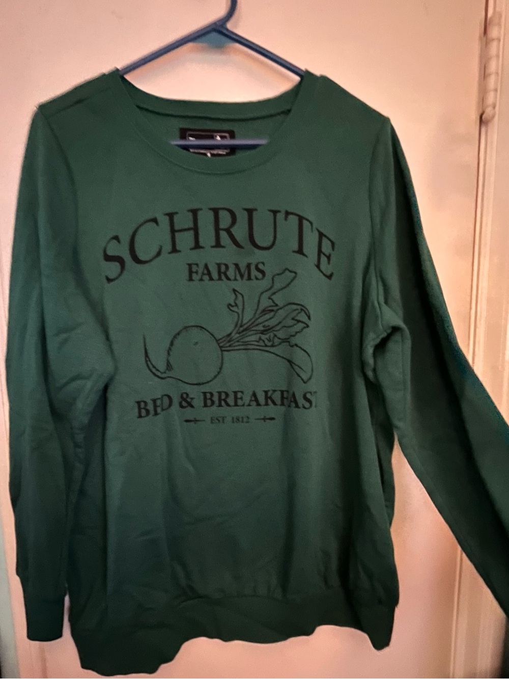 torrid Green Graphic Crewneck Sweatshirt